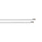 Sea-Dog 10 AWG White Primary Wire - 100'