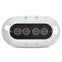 OceanLED X4 Series Underwater Lighting - White Bezel - Colours