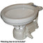 Raritan Sea Era Electric Toilet - Household Style - Integral Pump - Straight 90 Discharge - 12v