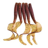 WDAIREN Grubs 5Pcs/Lot