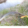 KesFishing Nasty Shad T-Tail 4Inch 6Pcs