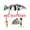 Robotic Auto-Swimming Swimbait USB Rechargeable