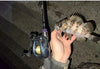 Tsurinoya ELF PRO Ultralight BFS Casting/Spinning Rod 2.26m 2PCs Lure Weight 0.6-7g