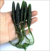 JYJ Long Tail Soft Plastic Grub Lure 5/10Pcs