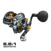 Piscifun Alijoz 300 Low Profile Baitcasting Reel 33LB Max Drag 8+1BB 8.1:1/6.6:1