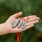 Boundless Voyage 120dB Titanium Survival Whistle
