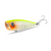 ASINIA Soul Eater 60mm 7.0g Topwater Popper