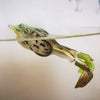 Proleurre 1PC Double Propeller Soft Silicone Pro Frog Bait