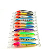 Bodecin 25g 15.5cm Jerkbait Minnow Wobbler