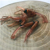 JYJ 100pcs/Set 5cm Soft Plastic Tube Lures