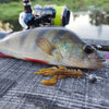 Supercontinent 55A 65mm/10pcs 40mm/20pcs Soft Craw Lure