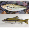 TheTime 23/66g Multi Jointed Swimbait