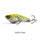 Yellow-Shad (D)