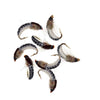 12 Styles Wet/Dry Fishing Flies