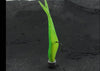 Wldslure NED Jig Head Hook