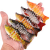 AOrace Swimbait Set