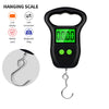Digital Hanging Scale - 50kg x 10g