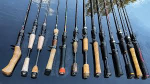 BFS Rods