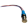 Bluewater 22mm Push Button Switch - Off/On Contact - Blue/Red LED - 4' Lead