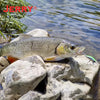 Jerry Prodigy Slow Sinking Crankbait 35mm 2.6g