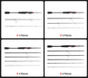 KastKing Brutus Spinning/Casting Rod 1.29m 1.86m 2.07m 2.28m 3-6PC