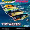 GREENSPIDER Topwater Popper 13.5g/75mm