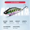 ASINIA Dragon Sword 75mm 15g VIB Crankbait