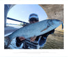 Kingdom Kingart Sinking Jerkbait 6g 9g 14g 18.6g