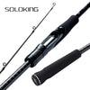 SOLOKING KOMPLUM  Inshore Sea Bass Fishing Rod  40T Carbon Ultralight Fuji O+A Ring 2 Section Saltwater Spinning Rod