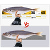 Waterproof Adhesive Fishing Measuring Ruler - 65cm 2Pcs