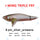 NO. 8 SILVER AROWANA