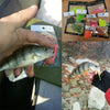 WDAIREN 10pcs/Lot Worm Soft Fishing Lures Wobblers 6cm 0.6g Silicone Artificial Baits